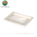 Bagasse Pulp Sushi Container Biodegradable Salad Containers Tray For Food Packing Manufactory